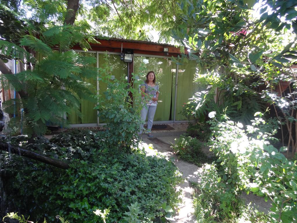 Hostal Vida 2000 Santa Cruz Zewnętrze zdjęcie